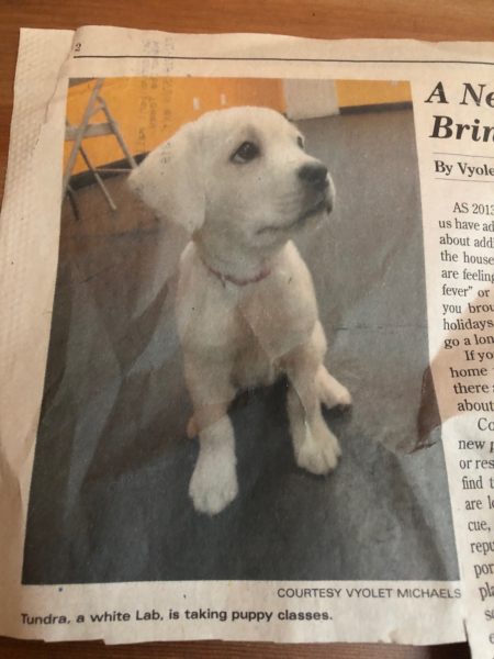 Newspaper Clipping on Tundra