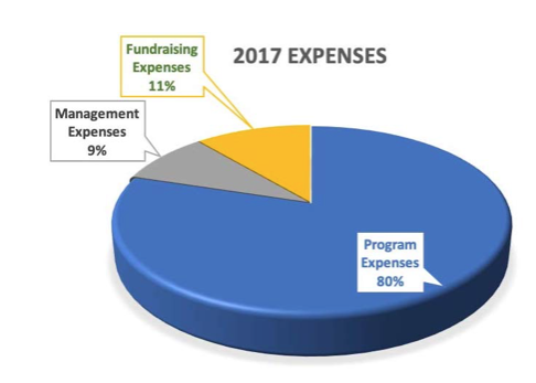 2017 expenses pie chart skin cancer foundation
