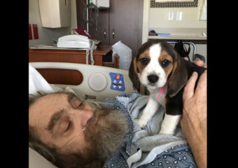 Homem segurando um cachorrinho fofo em uma cama de hospital