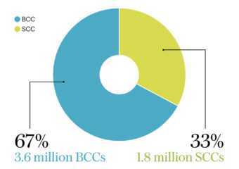 3.6 million BCCs, 1.5 million SCCs in 2021