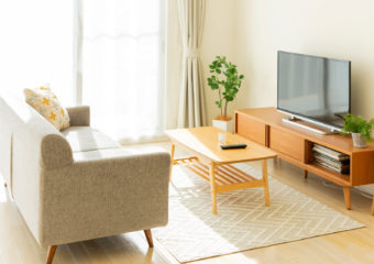 sun lit living room